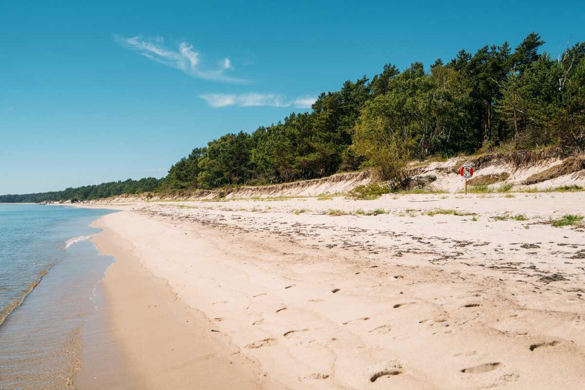 Sandskogens strand Sandskogens strand