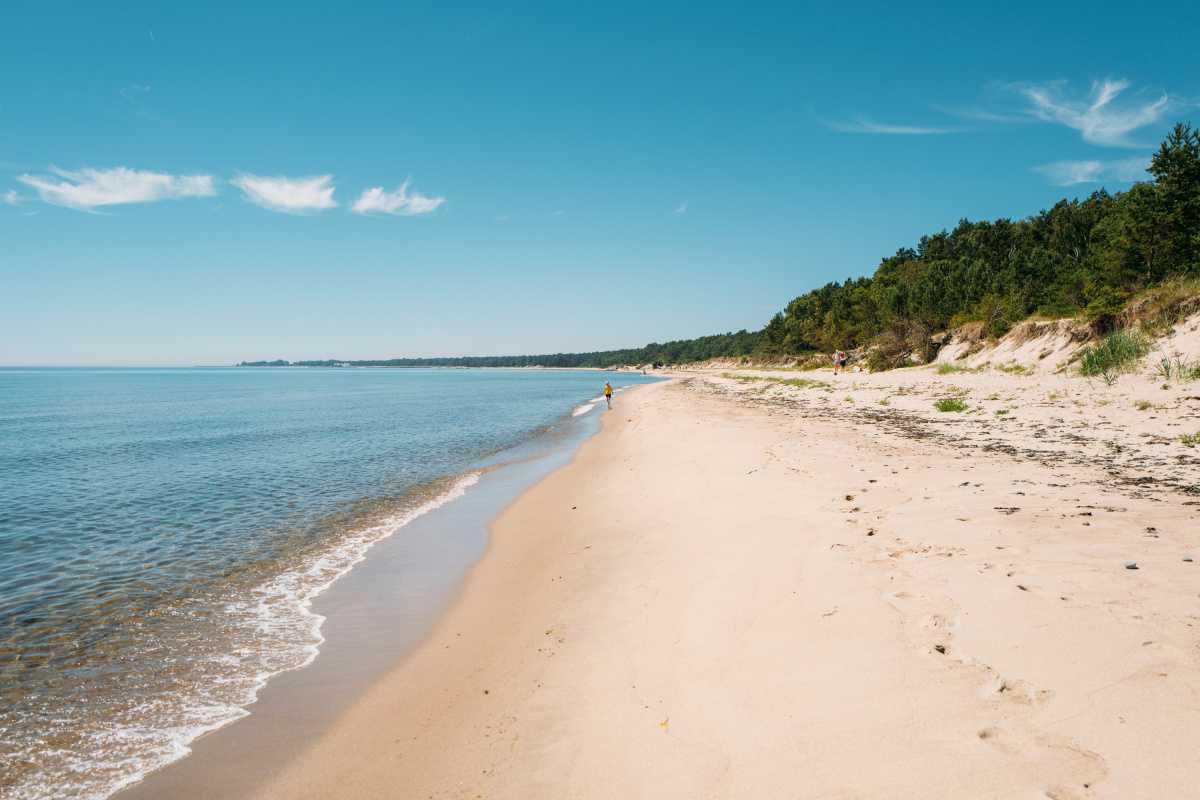 Sandskogens strand Sandskogens strand