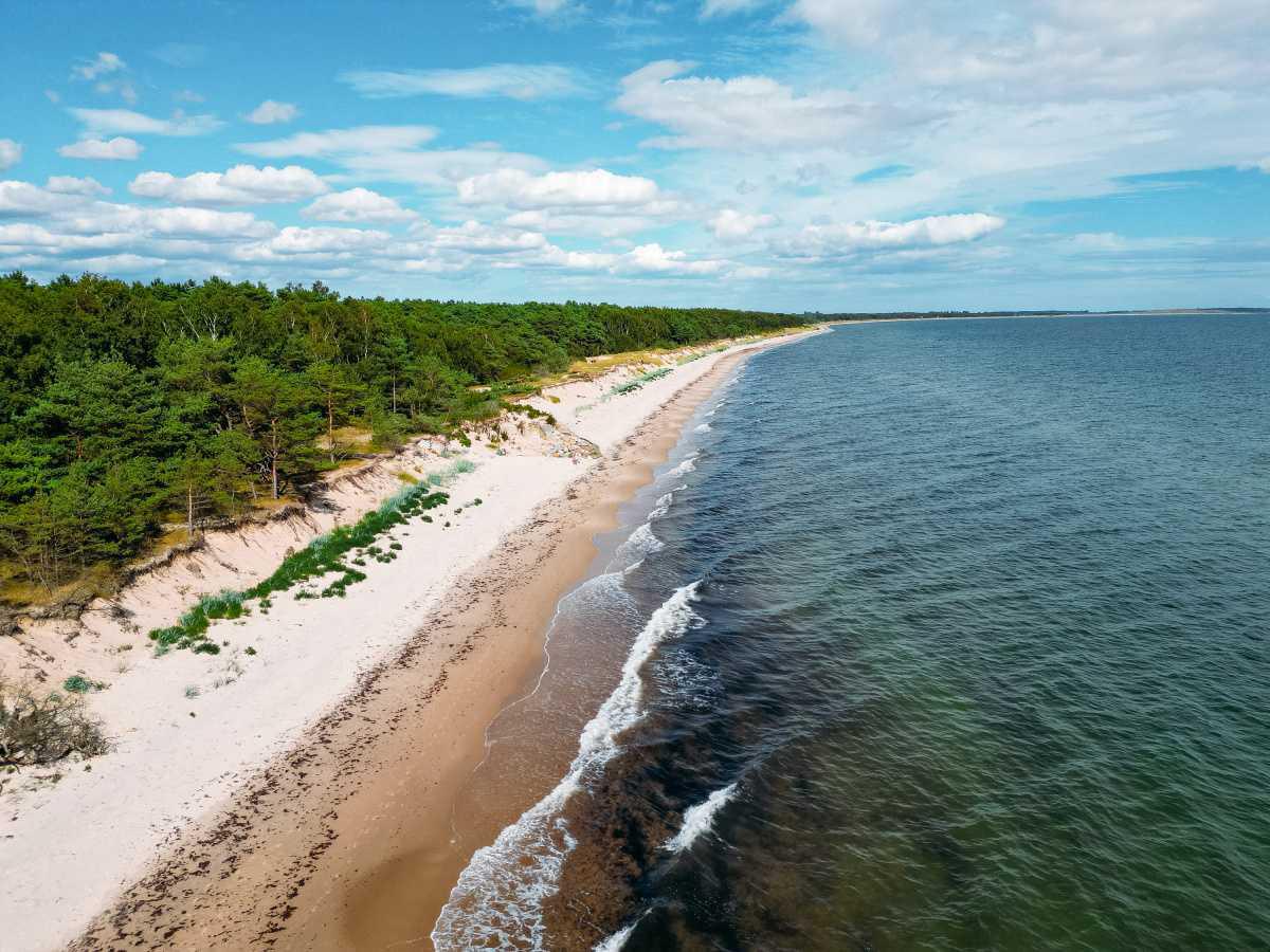 Sandskogens strand Sandskogens strand