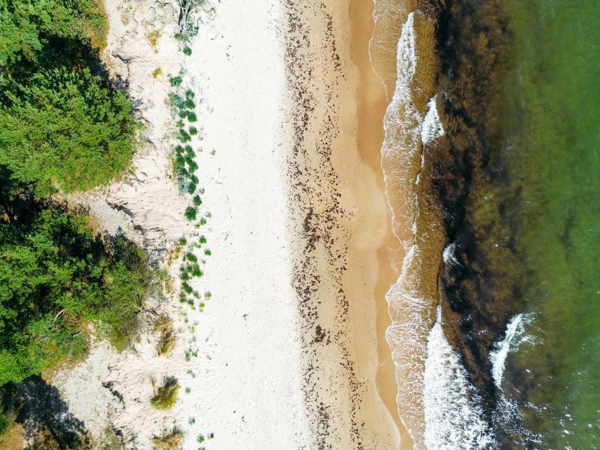 Sandskogens strand Sandskogens strand
