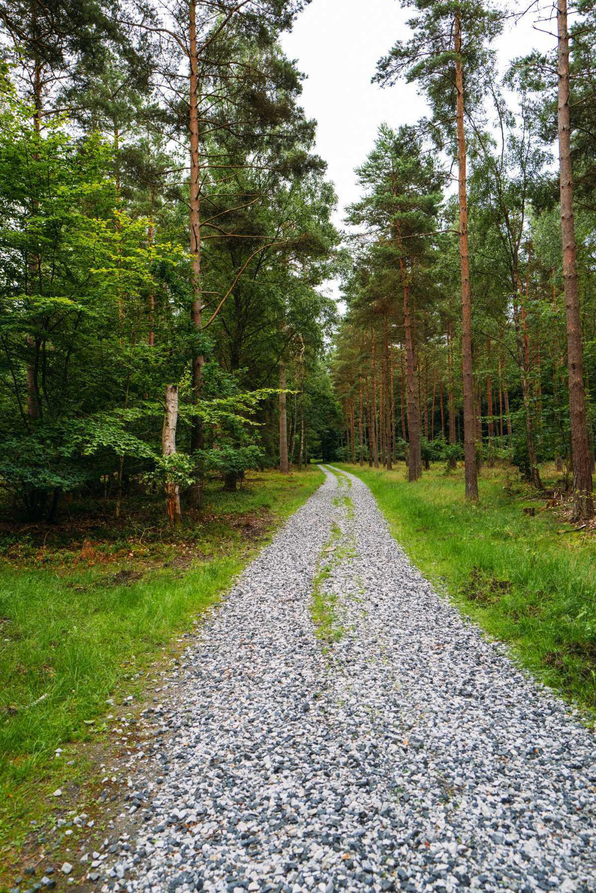 Snogeholm-Naturreservat