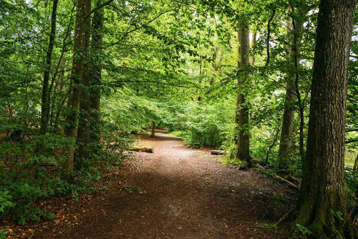 Snogeholm-Naturreservat