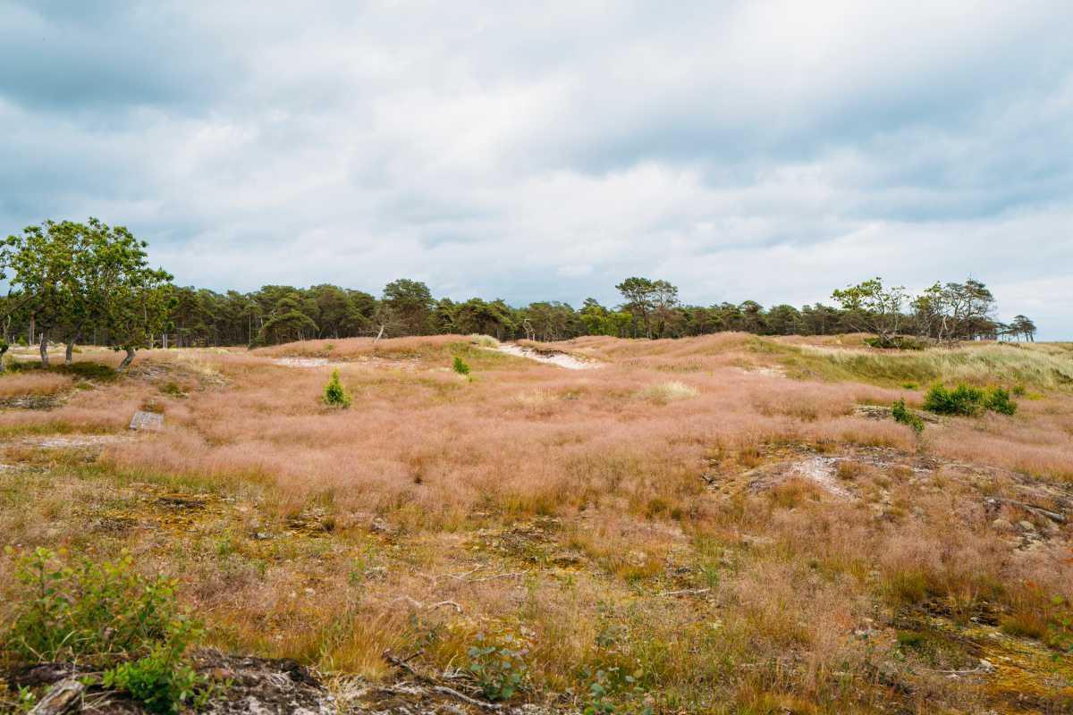 Tygeå Havsbad Tygeå Havsbad