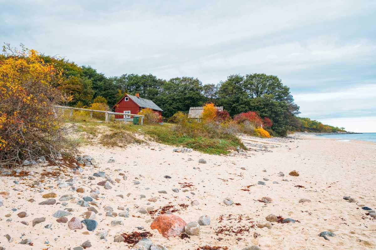 Stenshuvuds Nationalpark Stranden