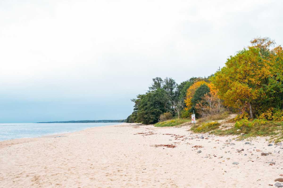 Stenshuvuds Nationalpark Stranden