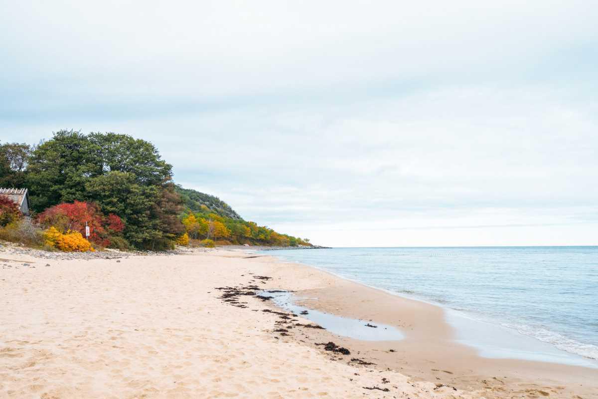 Stenshuvuds Nationalpark Stranden