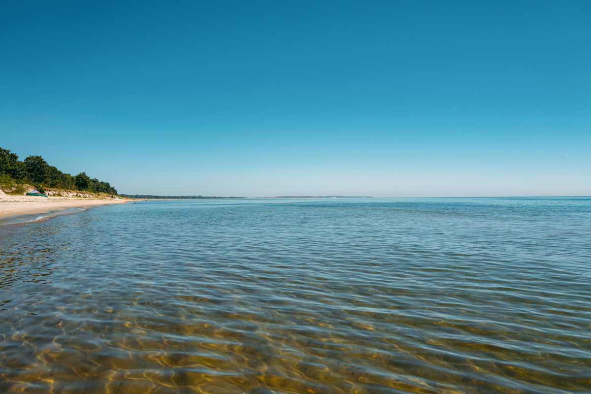 Sandskogens strand Sandskogens strand