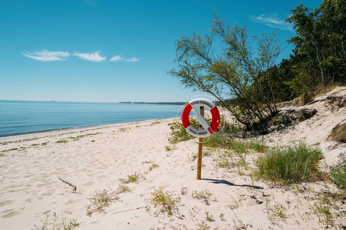 Sandskogens strand Sandskogens strand