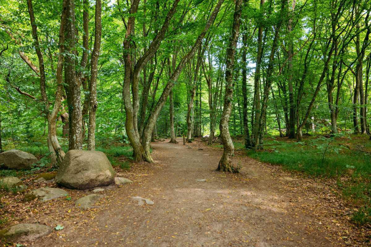 Stenshuvud Nationalpark Stenshuvud Nationalpark