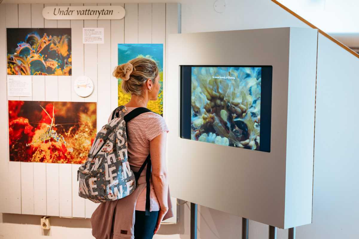 Stenshuvud Nationalpark Stenshuvud Nationalpark