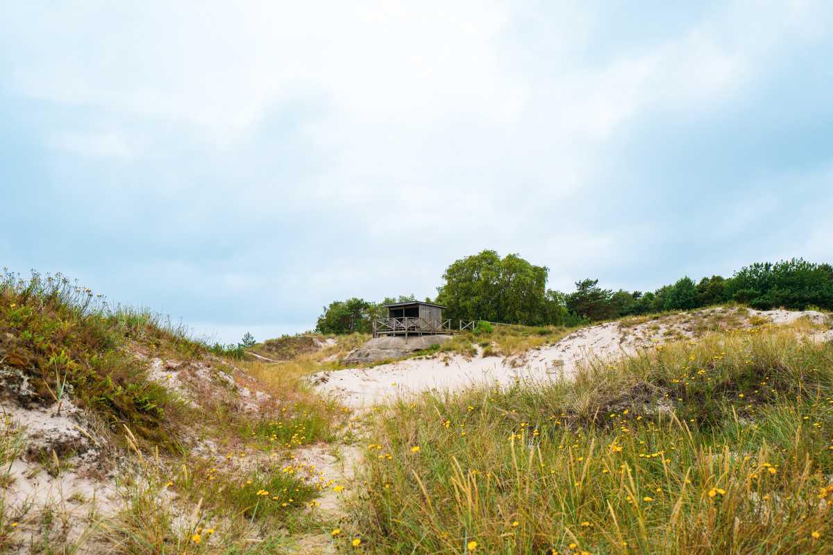 Sandhammaren Havsbad