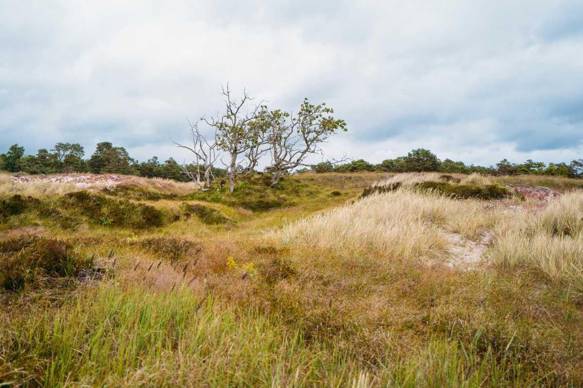 Tygeå Havsbad Tygeå Havsbad