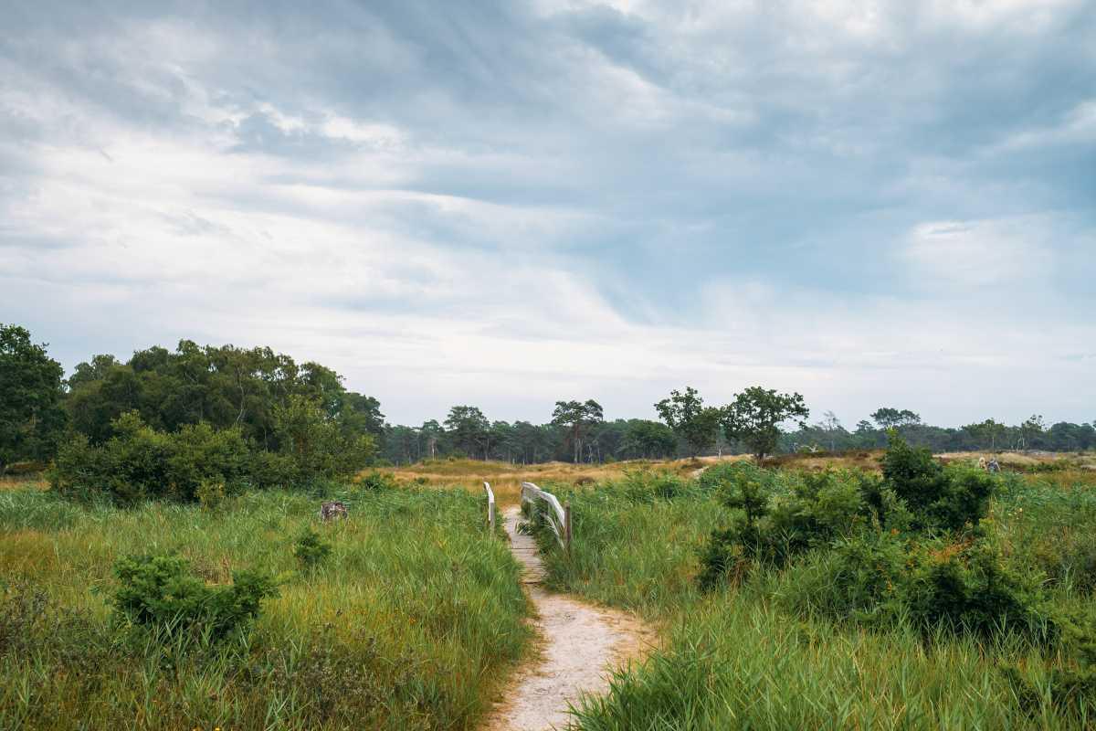 Hagestad Naturreservat