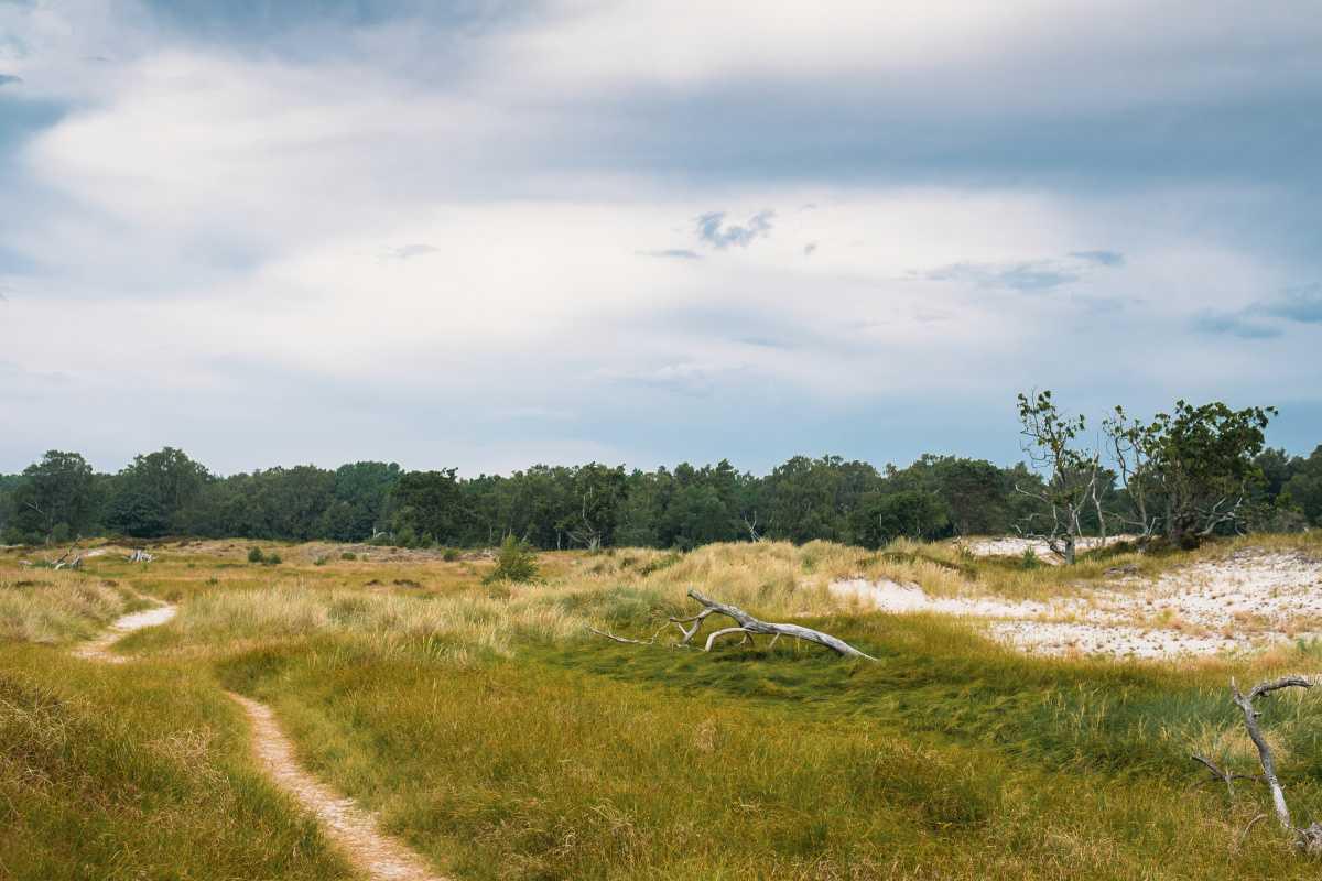 Hagestad Naturreservat