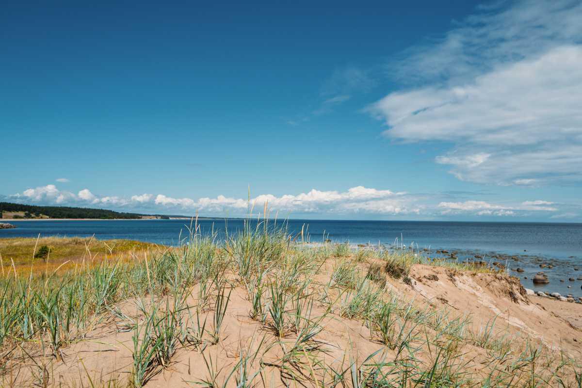 Vitemölla Strand Vitemölla Strand