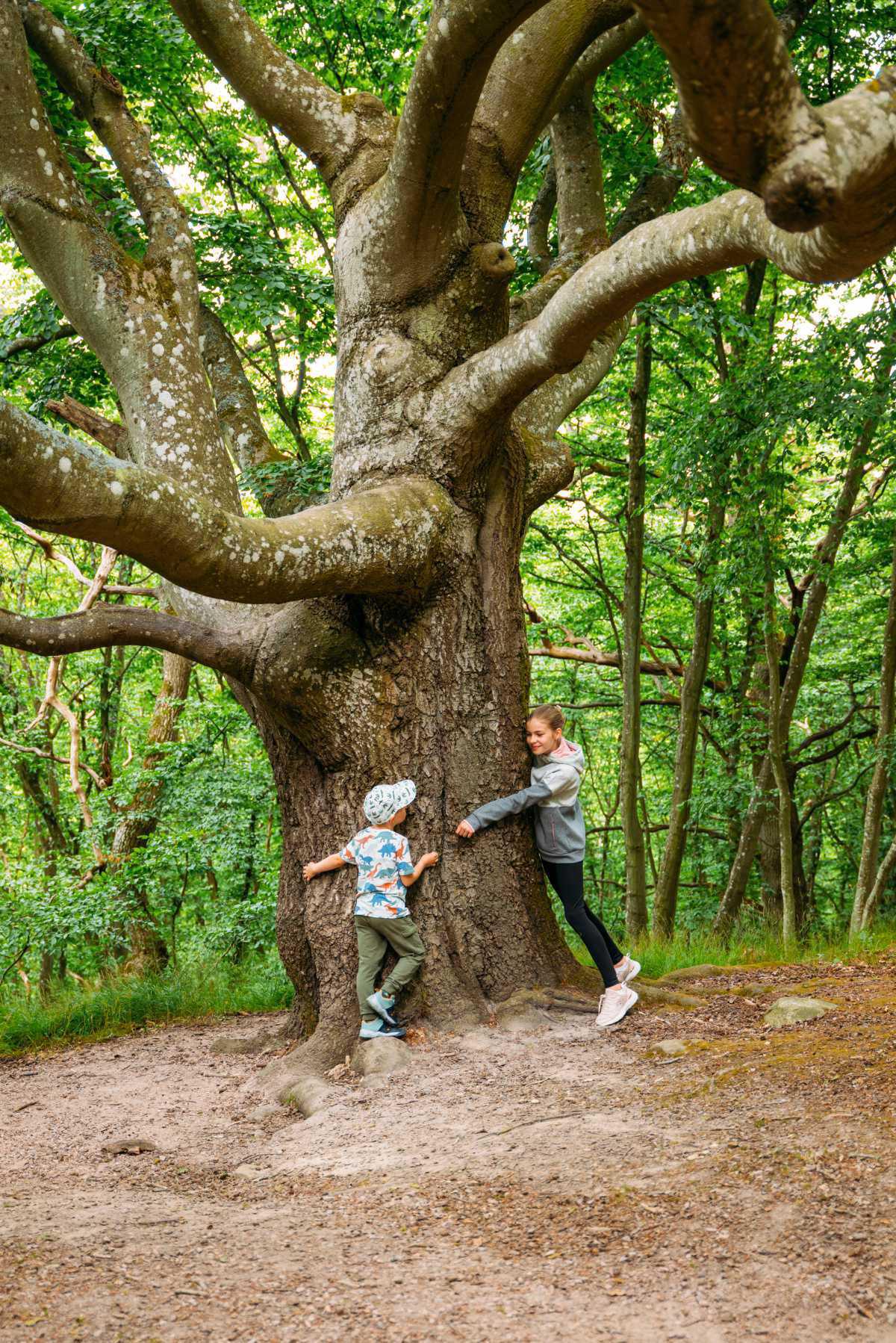 Stenshuvud Nationalpark Stenshuvud Nationalpark