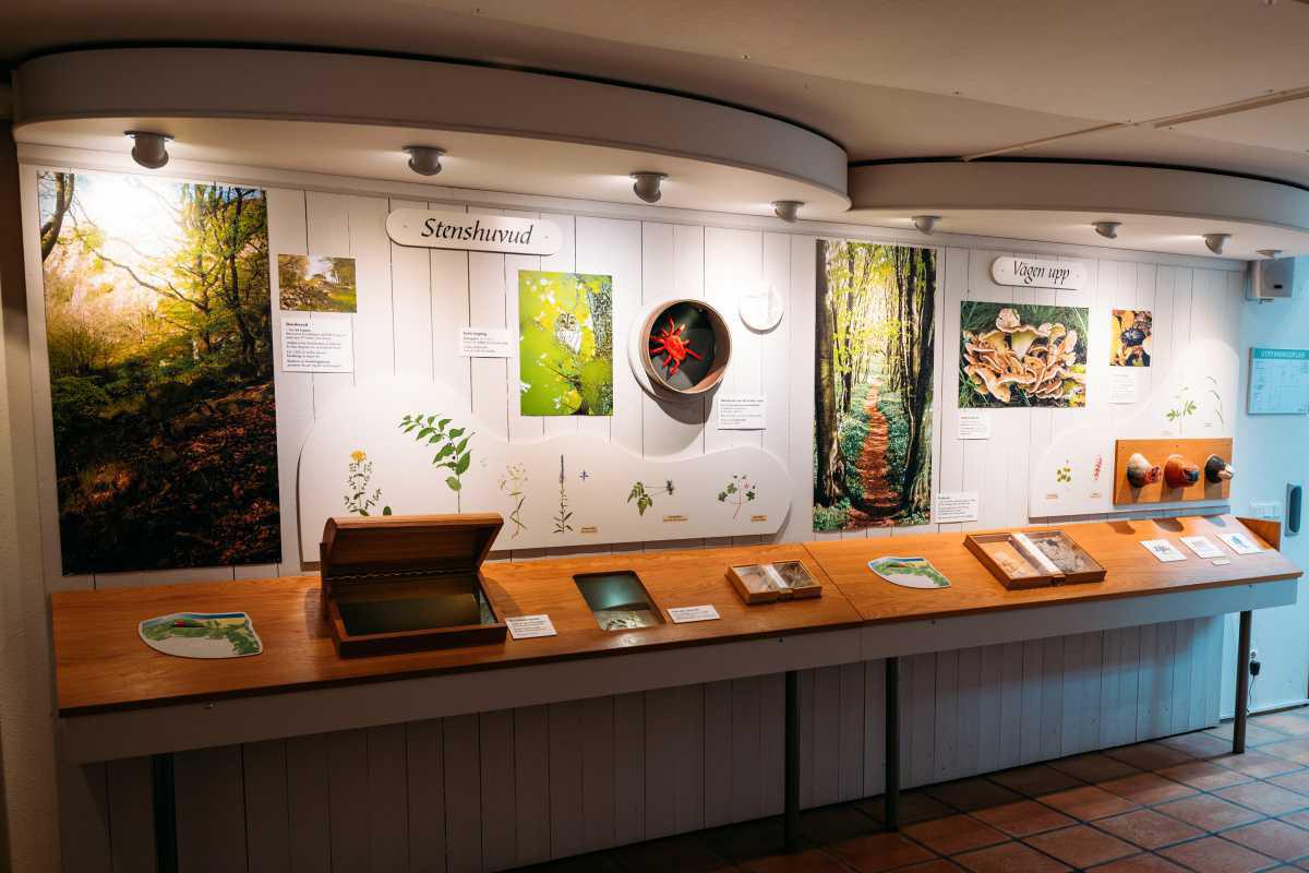 Stenshuvud Nationalpark Stenshuvud Nationalpark