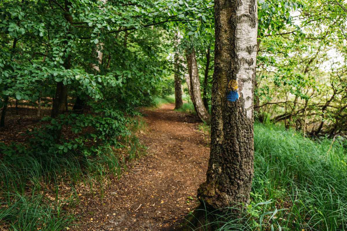 Snogeholm-Naturreservat Snogeholm-Naturreservat