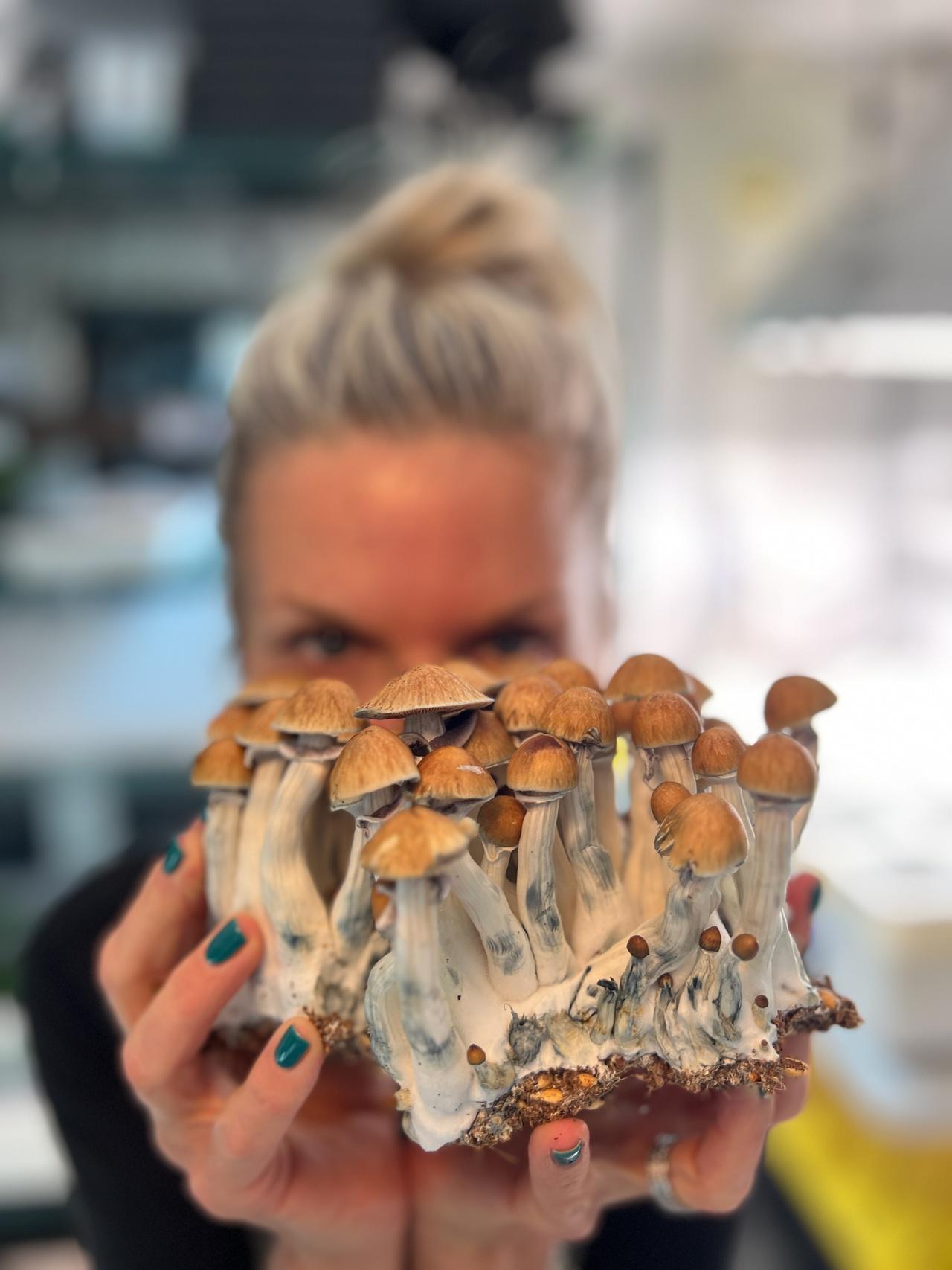 Private Mushroom Memberships