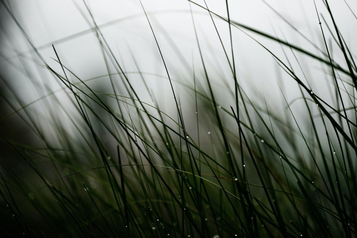 #Articlophile : Le Bulletin 01