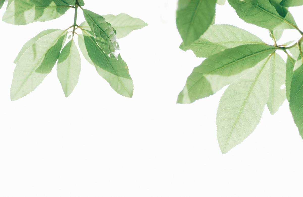 Bulletin d'information du 17/04/2025 Bulletin d'information du 17/04/2025