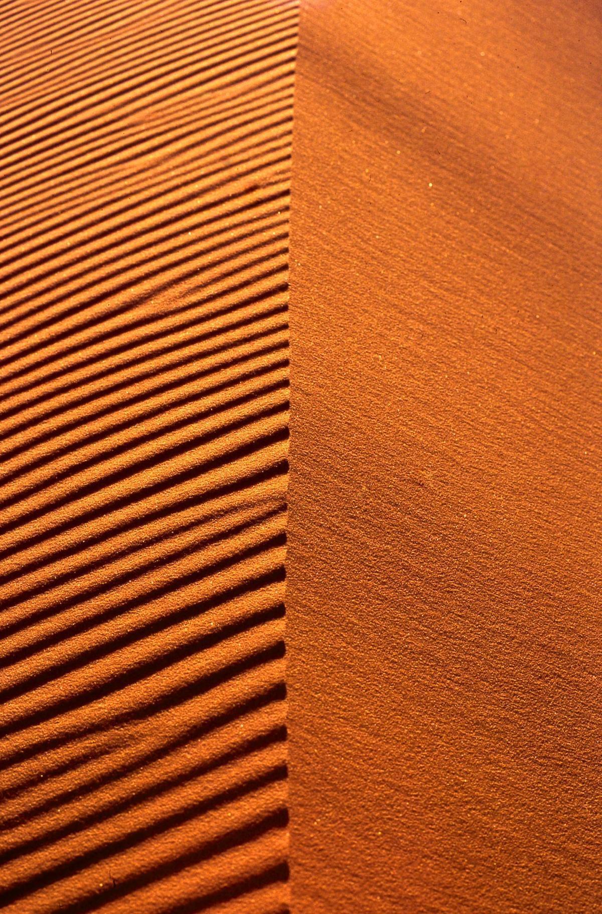 Bulletin d'information du 21/04/2025 Bulletin d'information du 21/04/2025