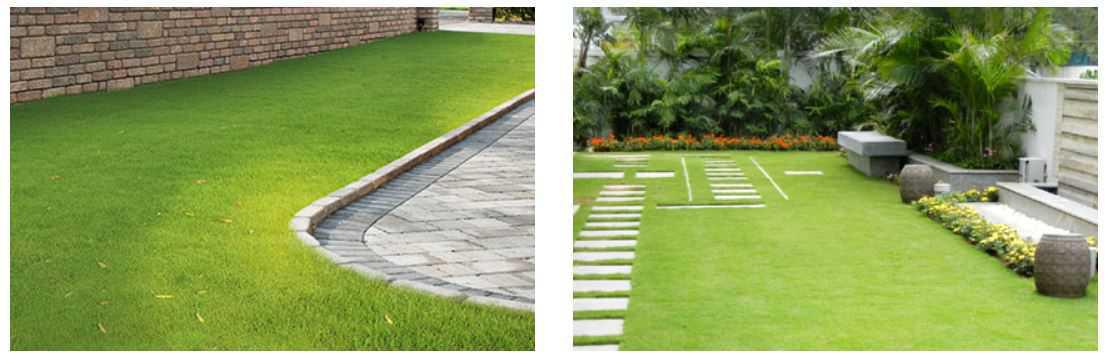 Hard & Soft Landscaping Hard & Soft Landscaping