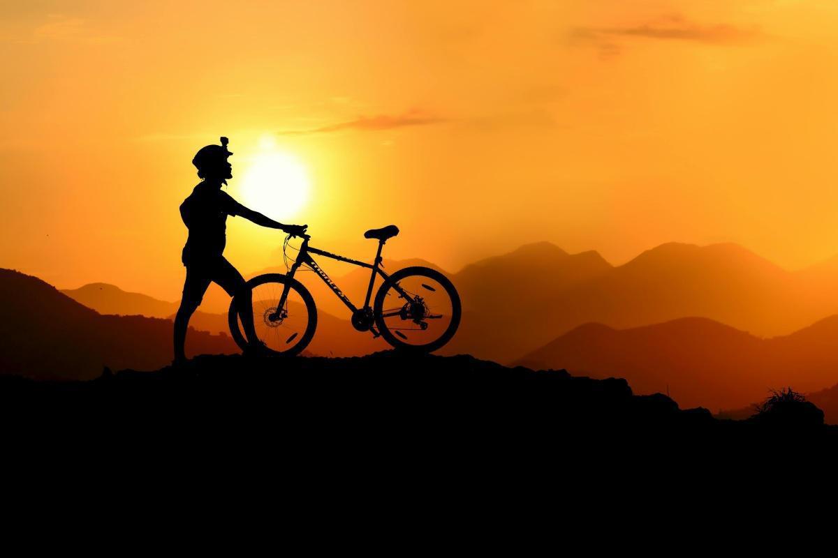 VTT 