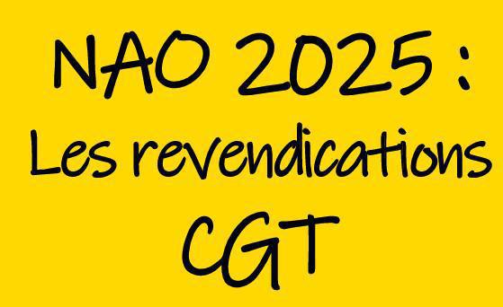 Plateforme Revendicative CGT - NAO 2025 Plateforme Revendicative CGT - NAO 2025