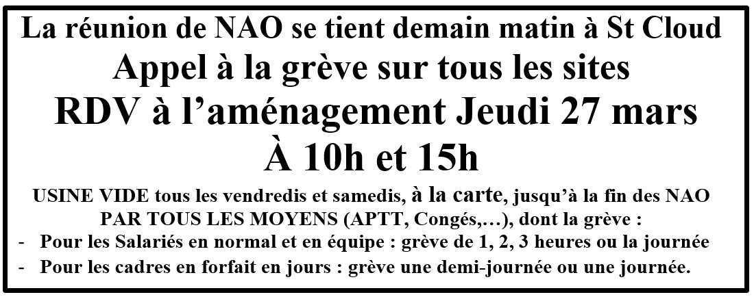 Demain les NAO du Cœur