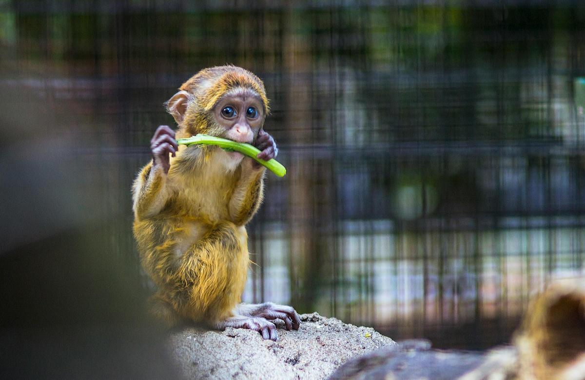 Activités sociales et culturelles octobre 2025