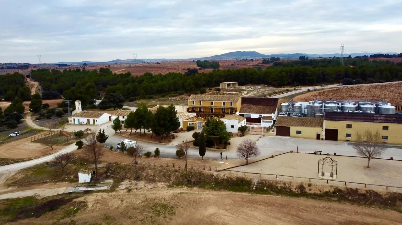 Bodegas Nodus