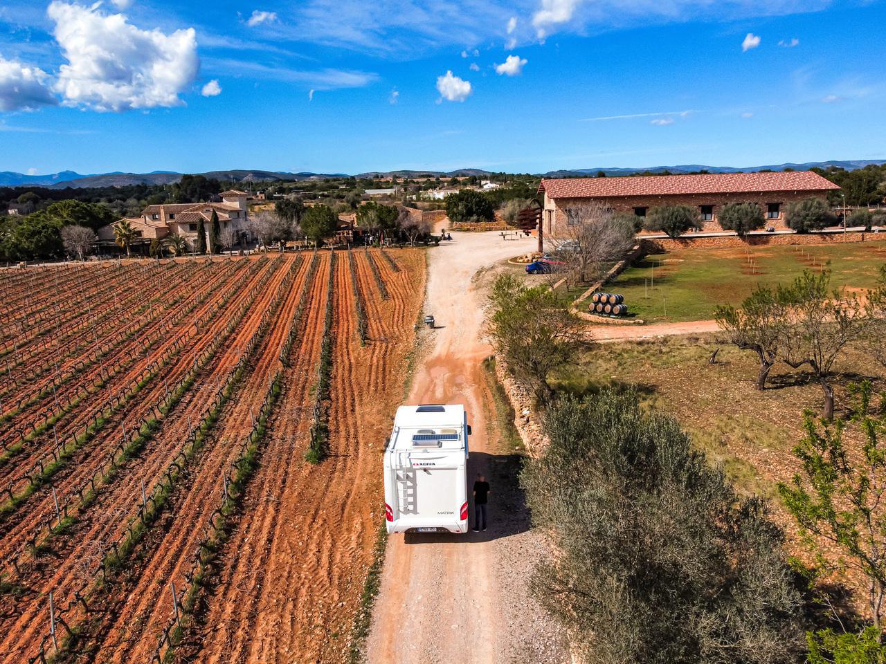 Baron Dalba, Clos Desgarracordes