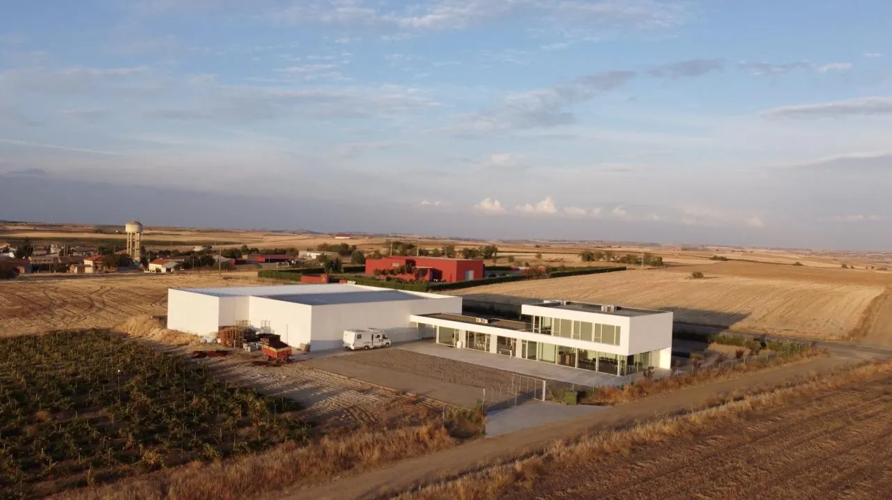 Bodega Díscolo