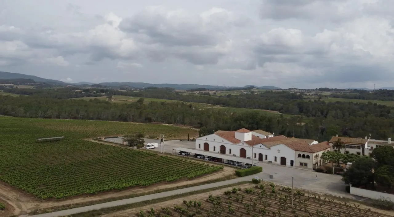 Cava Nadal
