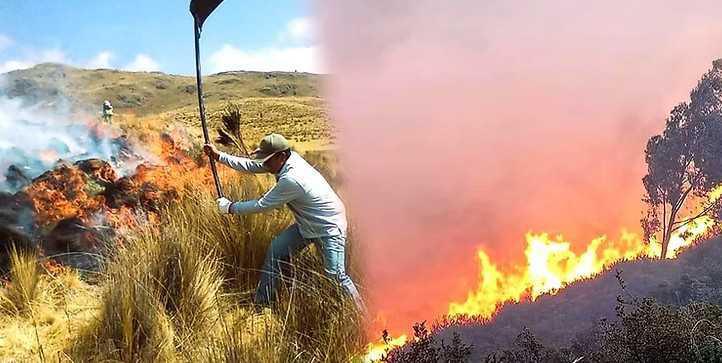 Ingenieros forestales y agricultores señalan al PP y PSOE ante la oleada de incendios.