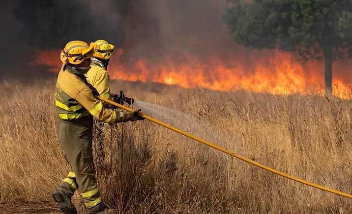 Ingenieros forestales y agricultores señalan al PP y PSOE ante la oleada de incendios.