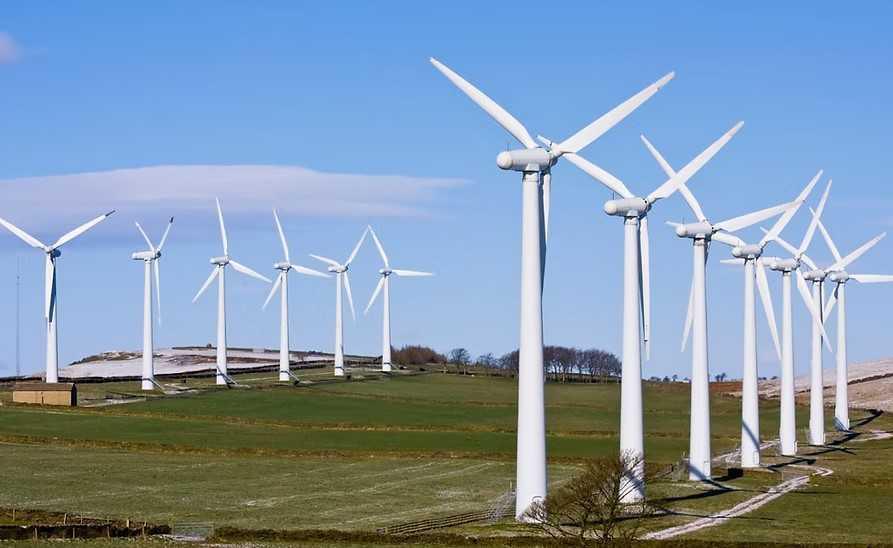 Forestalia y la empresa de Sumelzo crearon un enjambre con 850 sociedades Forestalia y la empresa de Sumelzo crearon un enjambre con 850 sociedades