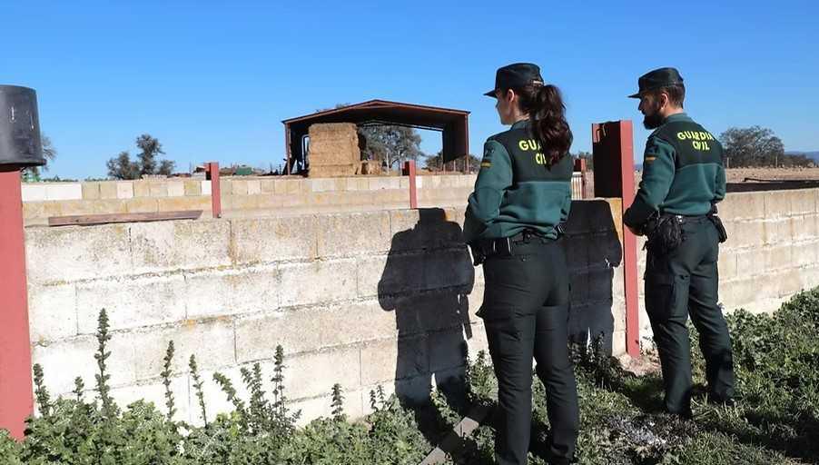 Marlaska ordena a los guardias civiles patrullar a pie por falta de coches en muchas zonas de España 