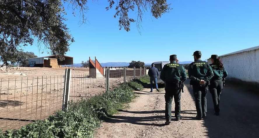 Marlaska ordena a los guardias civiles patrullar a pie por falta de coches en muchas zonas de España Marlaska ordena a los guardias civiles patrullar a pie por falta de coches en muchas zonas de España