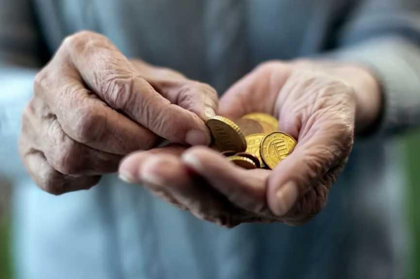 El rebaño subsidiado: ¿Hacia una sociedad programada para la dependencia? El rebaño subsidiado: ¿Hacia una sociedad programada para la dependencia?