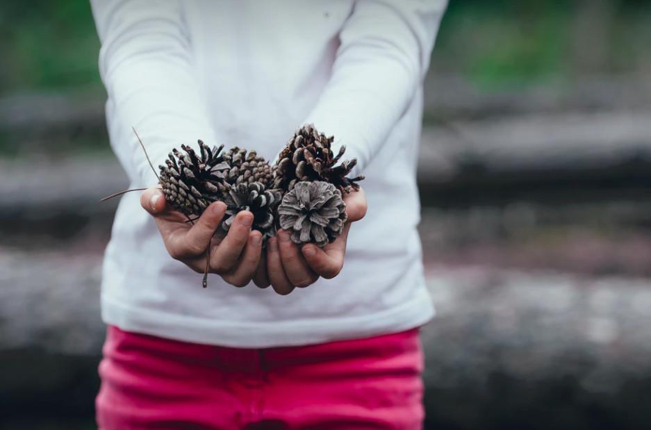 Quotes on Giving