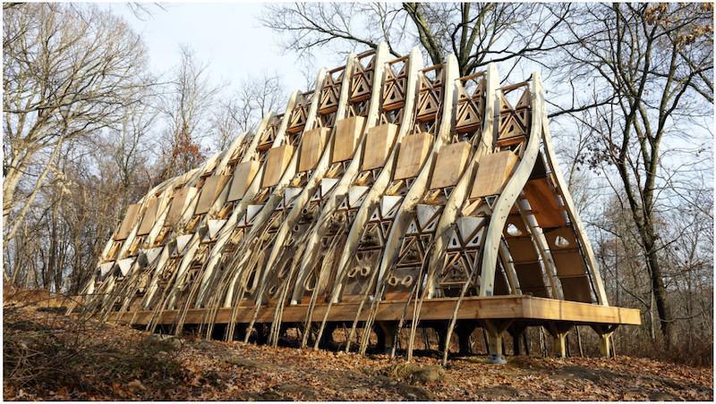Bâtisseurs de demain : L'avenir de l'architecture entre les racines des arbres