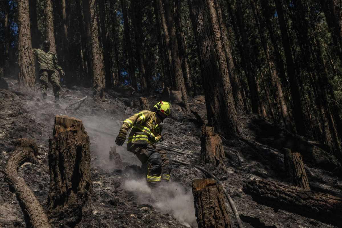 La Colombie réadapte des avions de lutte antidrogue pour combattre les incendies dévastateurs