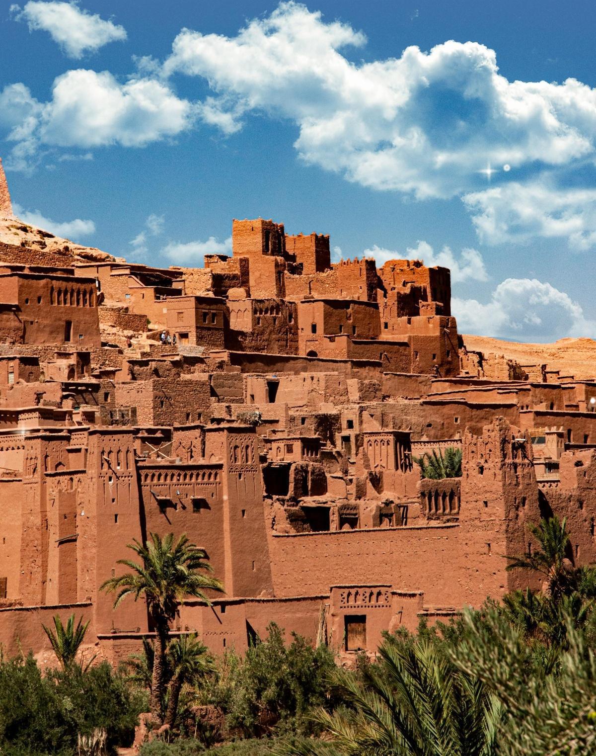 Articlophile RP · 25 · Maroc — influence, African Lion 2026, tendances éco‑culture