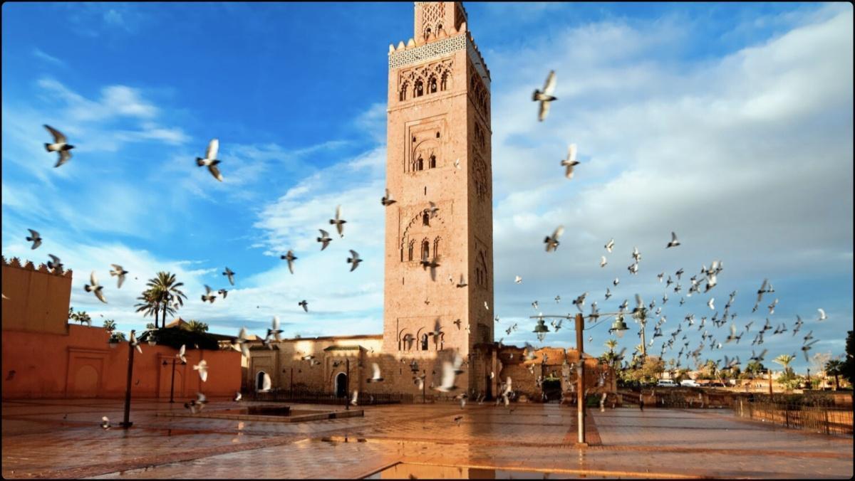Bulletin - Marrakech en Bref #03 Bulletin - Marrakech en Bref #03