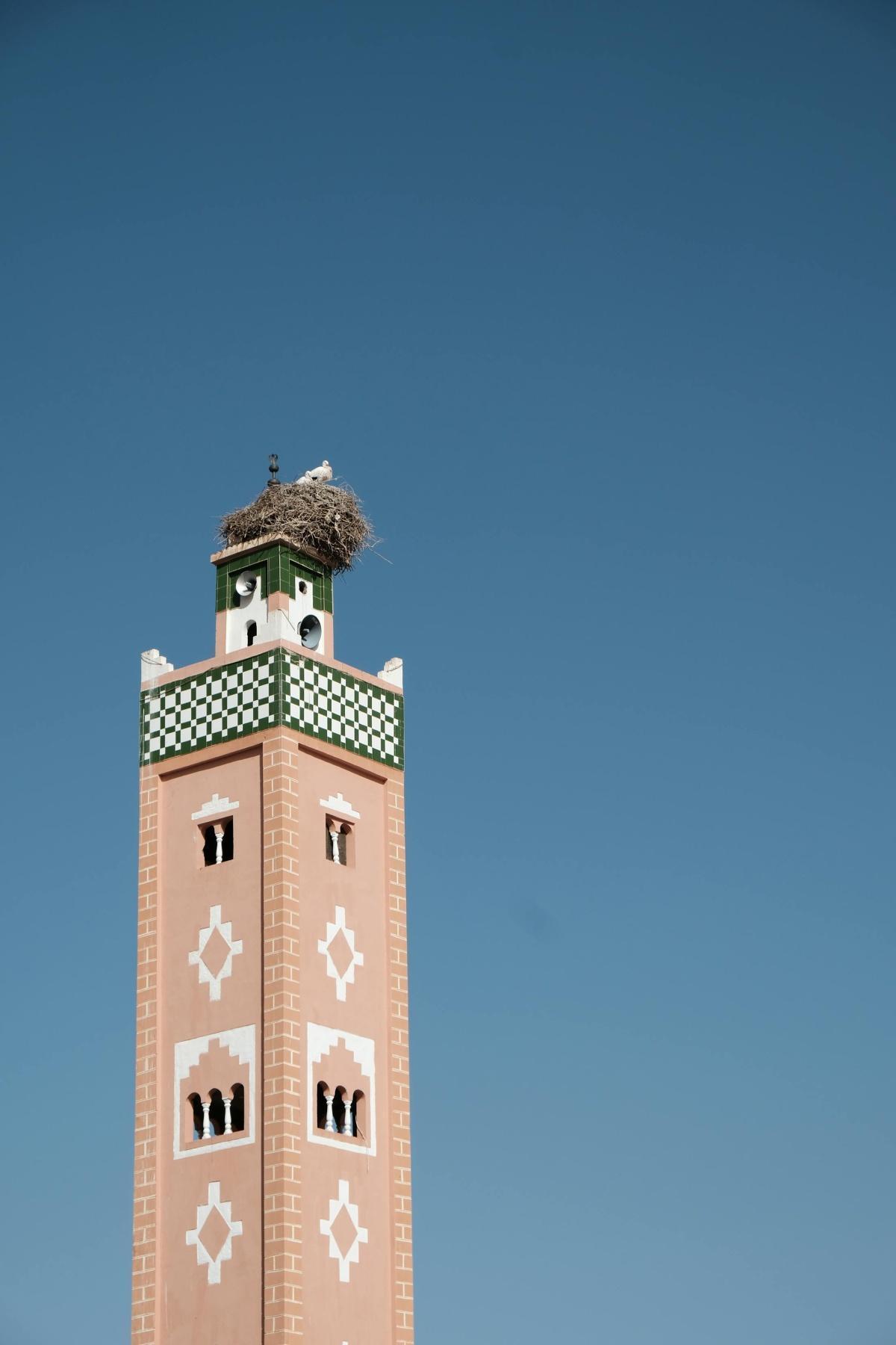 📮 Bulletin - Marrakech en Bref #13 📮 Bulletin - Marrakech en Bref #13
