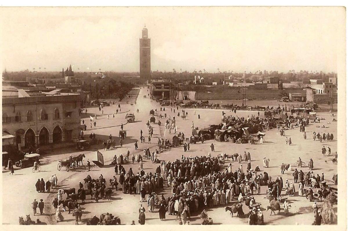 🌴 Bulletin - Marrakech en Bref #32 🌞 🌴 Bulletin - Marrakech en Bref #32 🌞