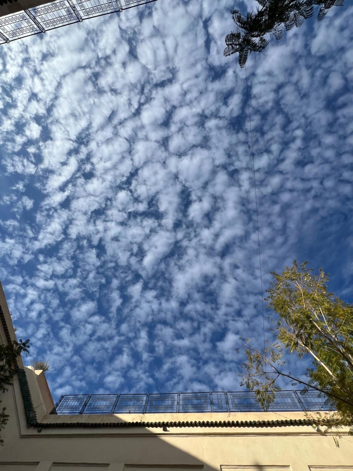 🌴 Bulletin - Marrakech en Bref #35 🌞 🌴 Bulletin - Marrakech en Bref #35 🌞