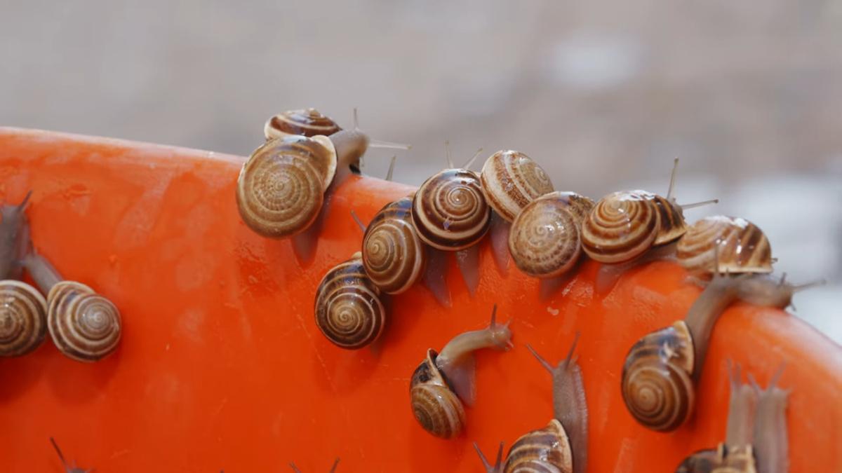 Marrakech sous la loupe : Un voyage culinaire extraordinaire avec "Best Ever Food Review Show", des ruelles aux tables d'excellence Marrakech sous la loupe : Un voyage culinaire extraordinaire avec "Best Ever Food Review Show", des ruelles aux tables d'excellence